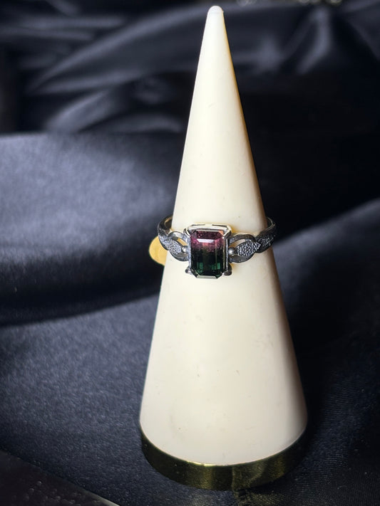 Tourmaline Bi Couleur (certifiée)