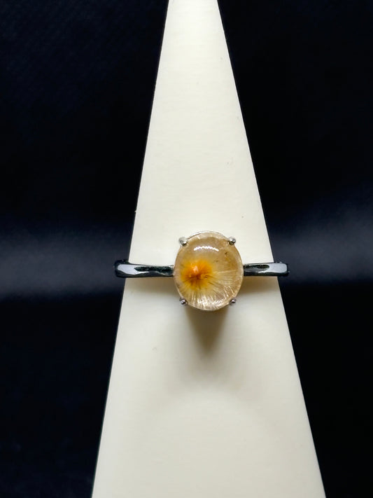 Lodolite Oursin