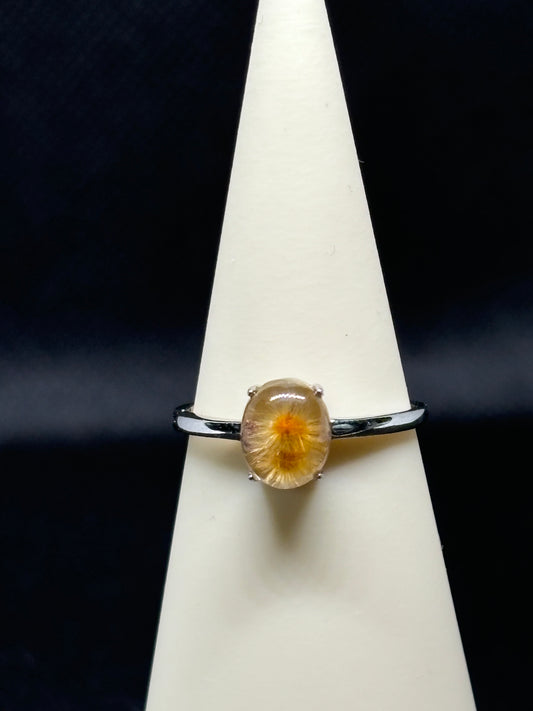 Lodolite Oursin